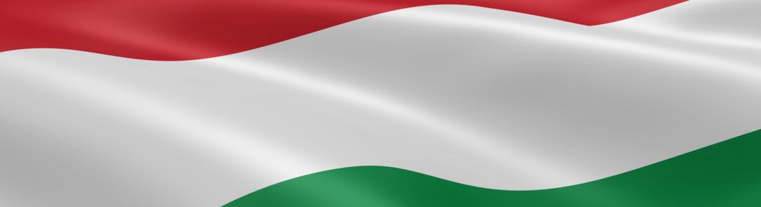 Как открыть компанию в Венгрии самостоятельно